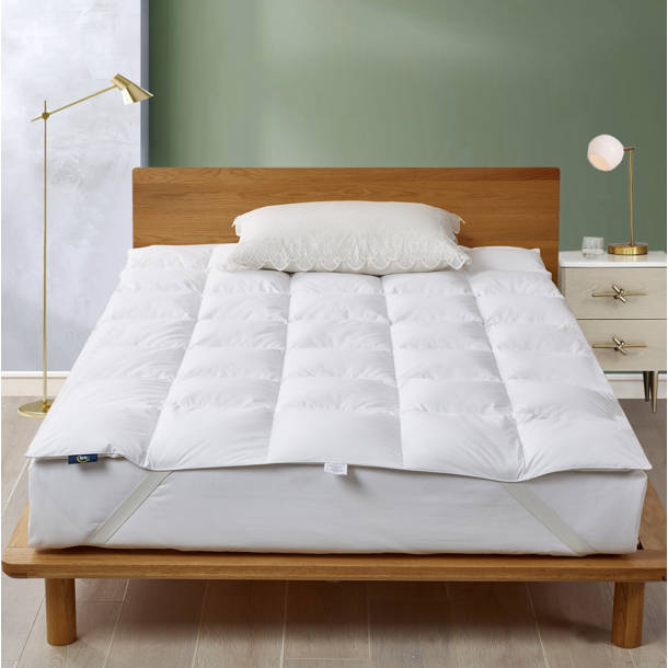 Serta Super Soft 233 Thread Count White Goose Feather And Down Fiber